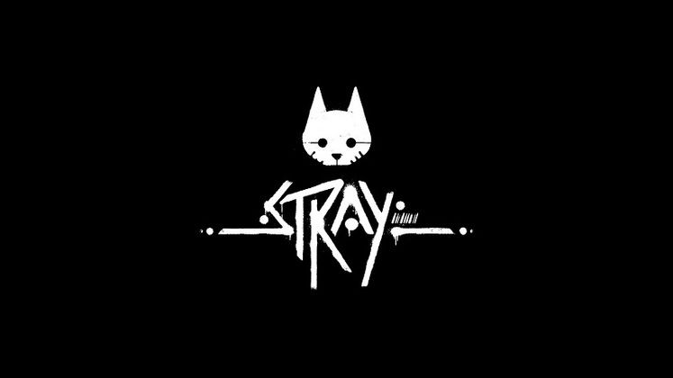 Where are all the Notebook Locations in Stray