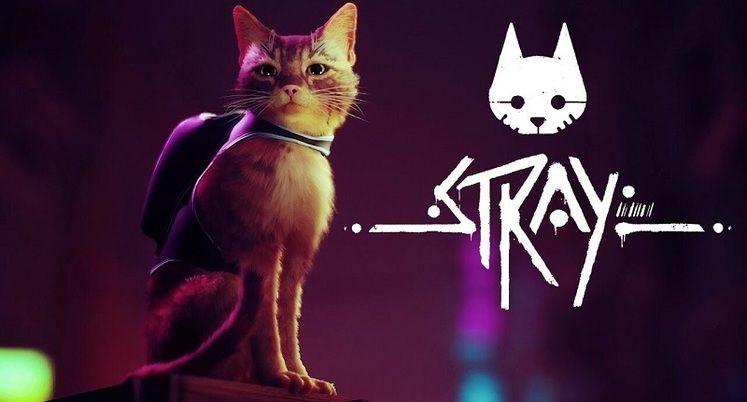 How long does it take to beat Stray?
