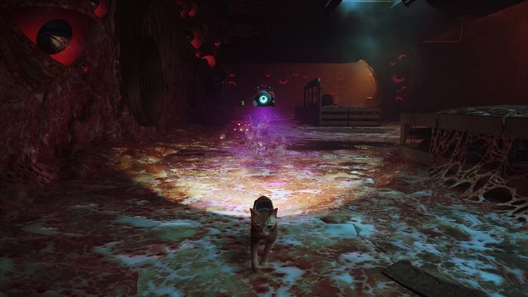 Curiosity Doesn't Always Kill the Cat