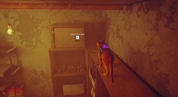 Stray Mysterious Password and Midtown Safe Codes - Every Code Listed
